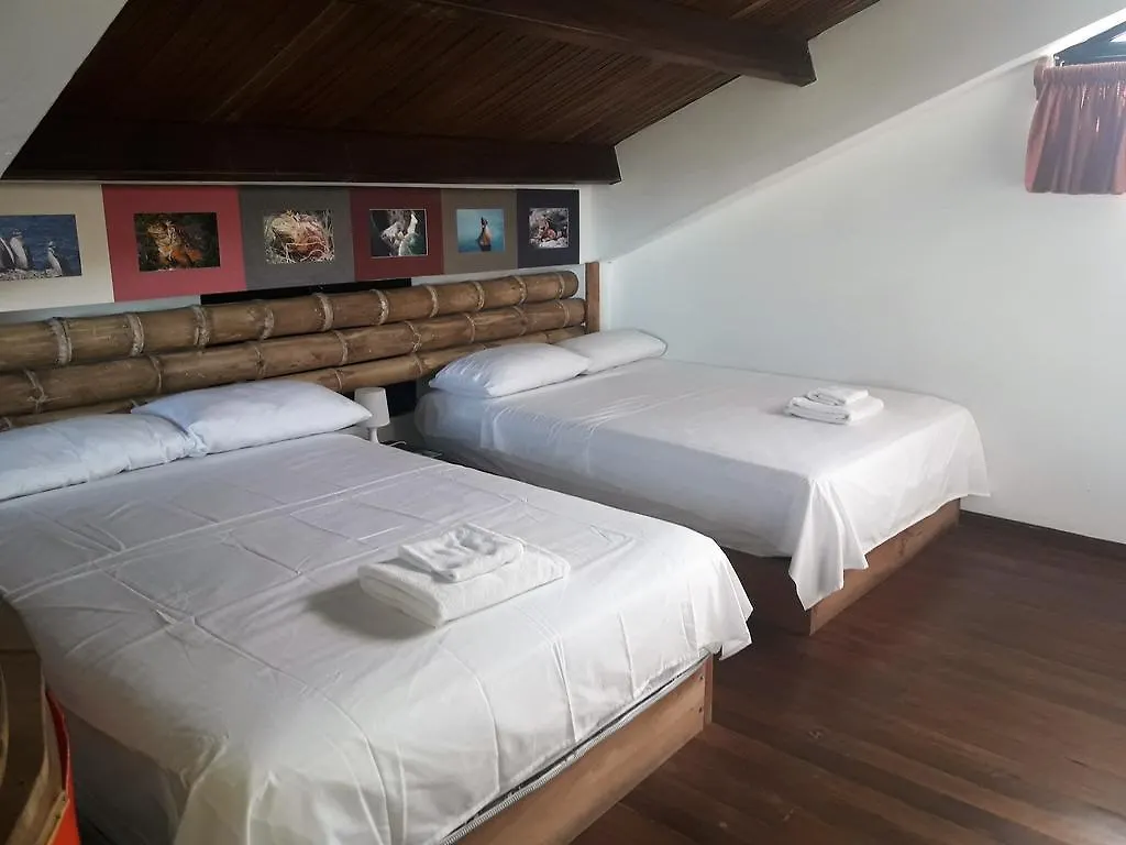 Galapagos House Hostel Puerto Ayora