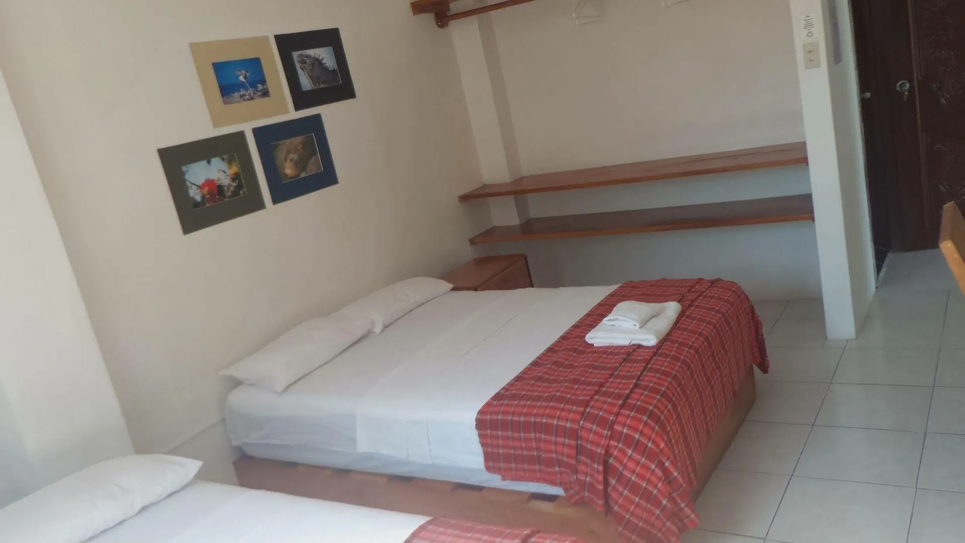 Galapagos House Hostel Puerto Ayora