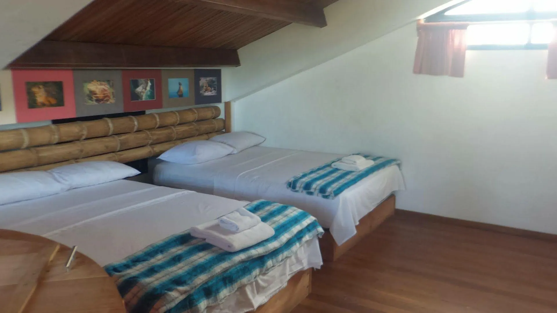 Galapagos House Hostel Puerto Ayora