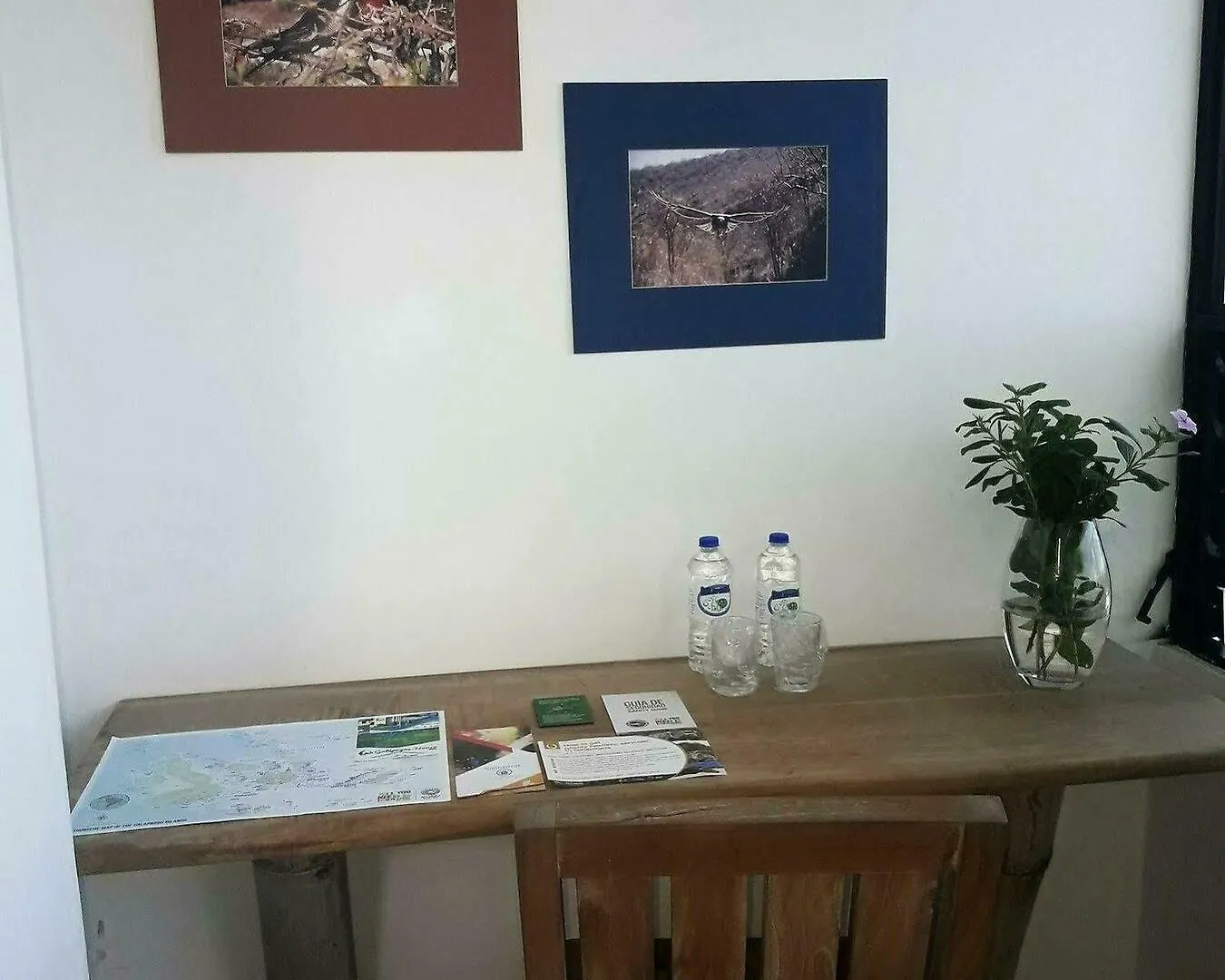 Galapagos House Hostel Puerto Ayora