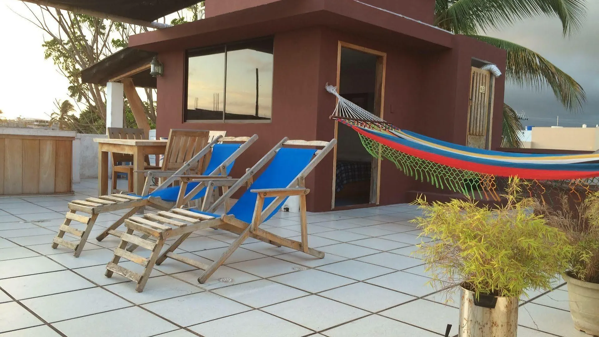 Galapagos House Hostel Puerto Ayora